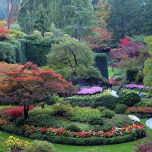 نمونه موردی پارک دانلود مطالعات معرفی باغ ها و پارک های معروف جهان